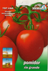 Pomidor Rio Grande